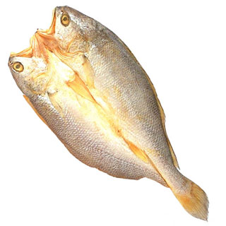 Flavouring dried yellow croaker