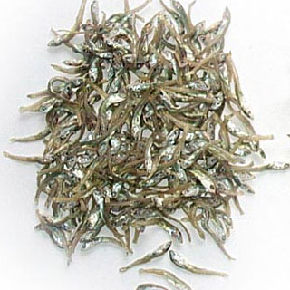 Fresh dried small silvery fish